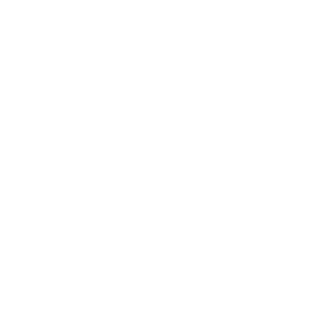 Wellington Bleu's Stylized Text
